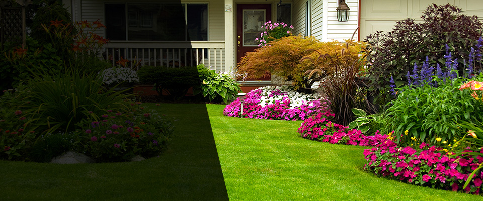 Dale Landscapers