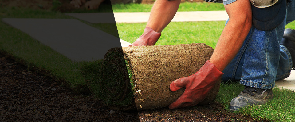 Dale Landscapers